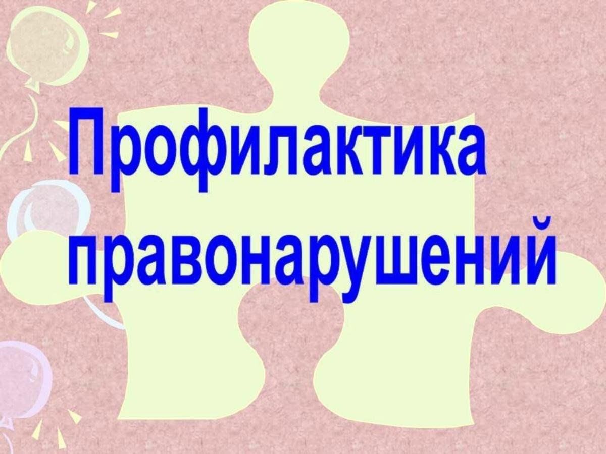 Профилактика правонарушений и укрепление общественного порядка и общественной безопасности.